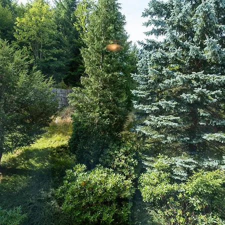 Resort Ow Sudety Szklarska Poręba